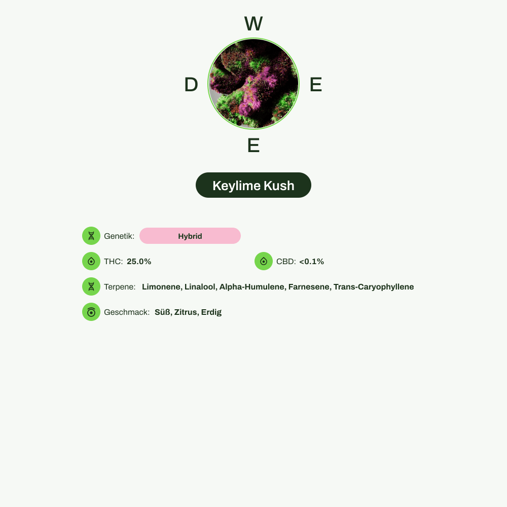 Infografik über THC-Gehalt, CBD-Gehalt, Terpene, Wirkungen, Geschmack von Keylime Kush