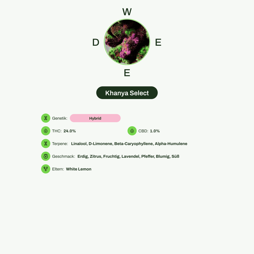 Infografik über THC-Gehalt, CBD-Gehalt, Terpene, Wirkungen, Geschmack von Khanya Select