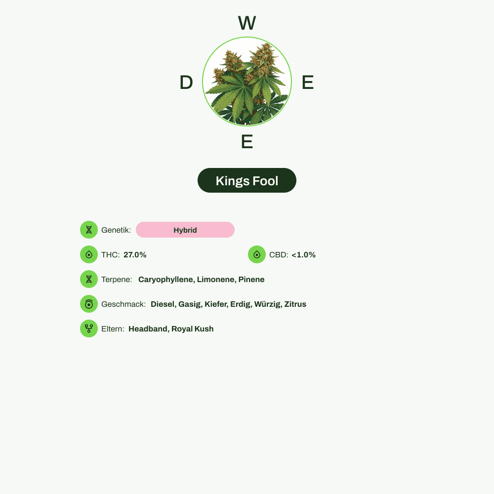 Infografik über THC-Gehalt, CBD-Gehalt, Terpene, Wirkungen, Geschmack von Kings Fool