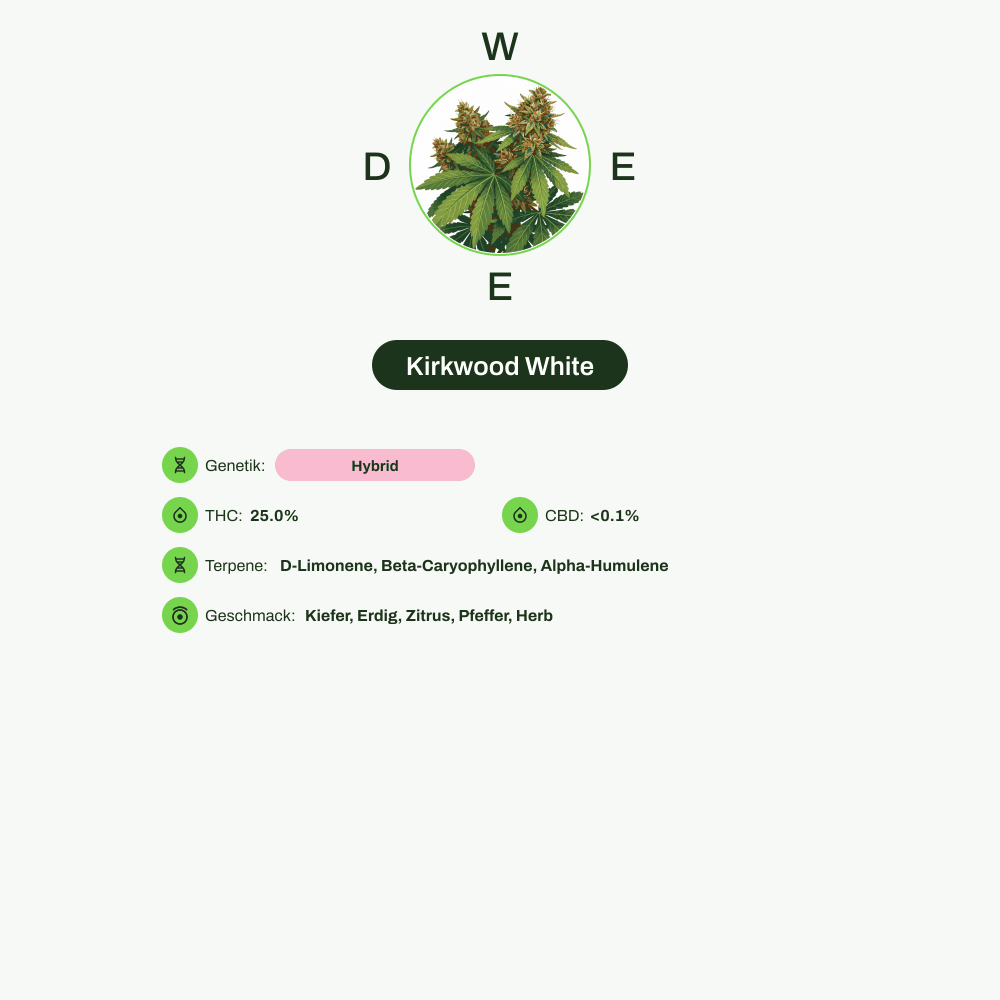 Infografik über THC-Gehalt, CBD-Gehalt, Terpene, Wirkungen, Geschmack von Kirkwood White