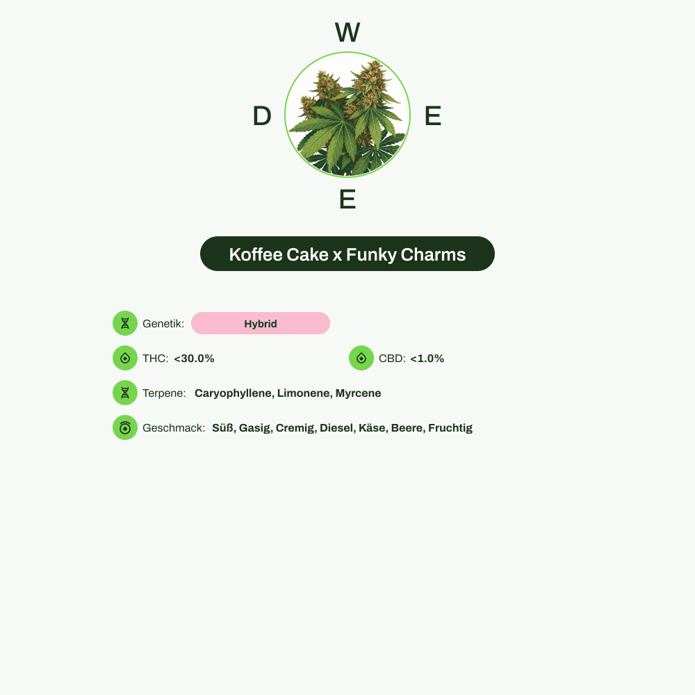 Infografik über THC-Gehalt, CBD-Gehalt, Terpene, Wirkungen, Geschmack von Koffee Cake x Funky Charms