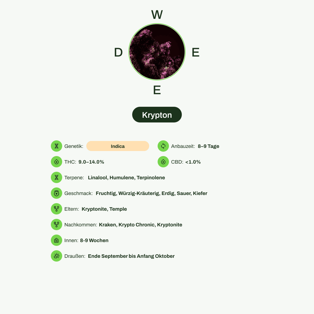 Infografik über THC-Gehalt, CBD-Gehalt, Terpene, Wirkungen, Geschmack von Krypton
