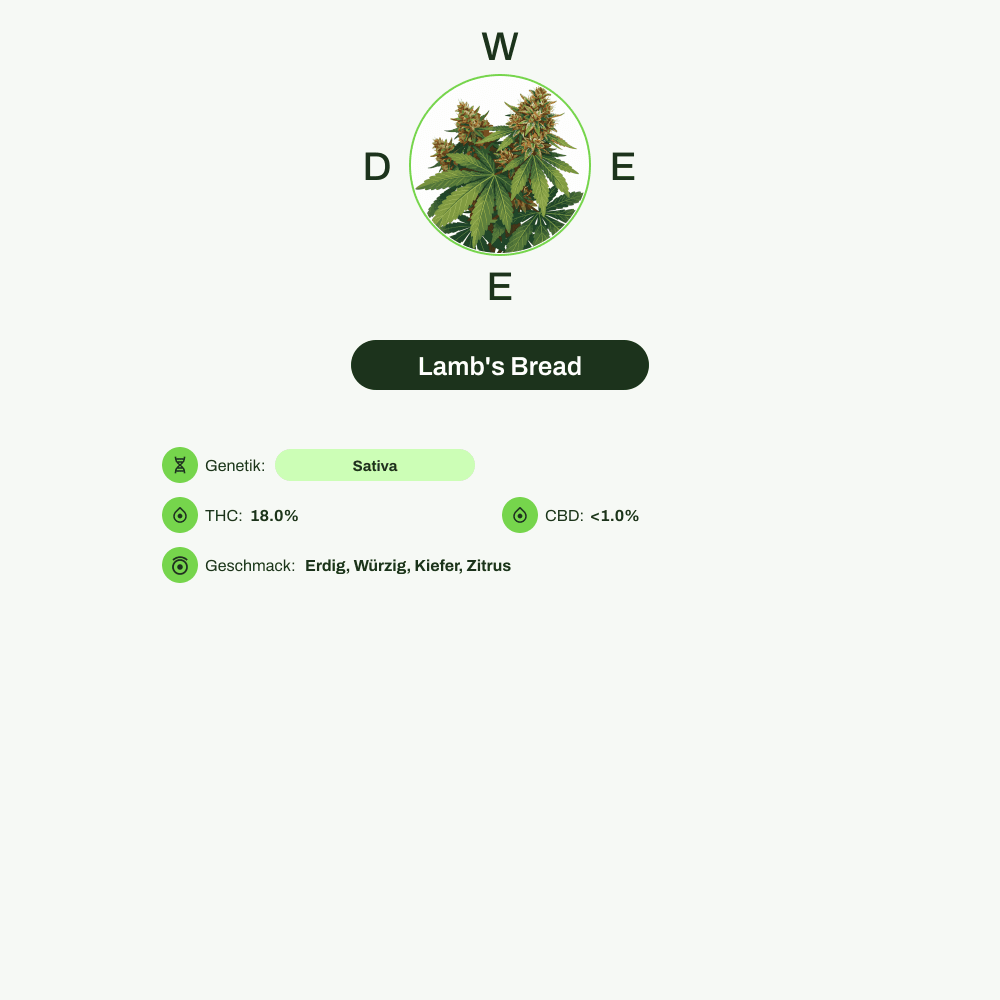 Infografik über THC-Gehalt, CBD-Gehalt, Wirkungen, Geschmack von Lamb's Bread