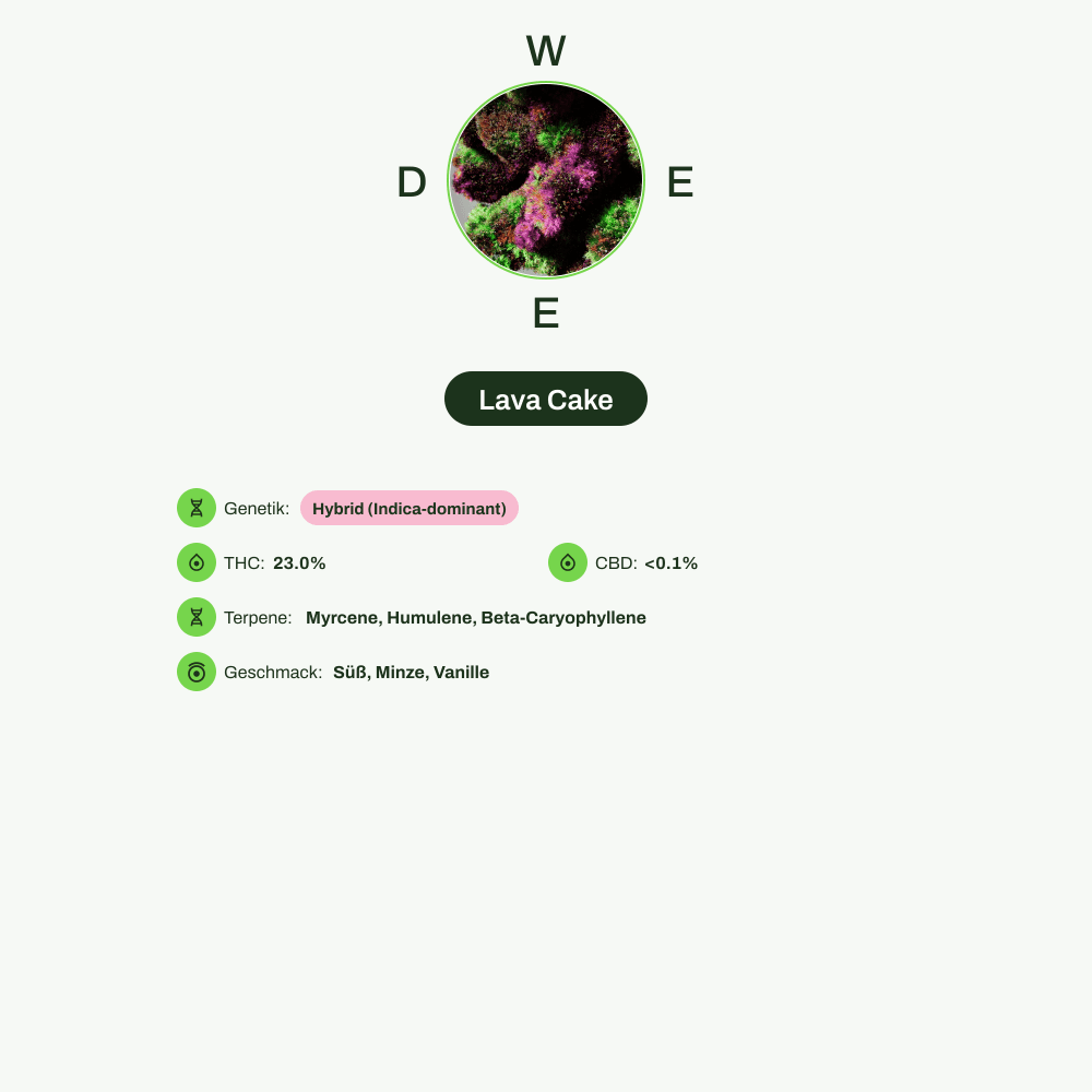 Infografik über THC-Gehalt, CBD-Gehalt, Terpene, Wirkungen, Geschmack von Lava Cake