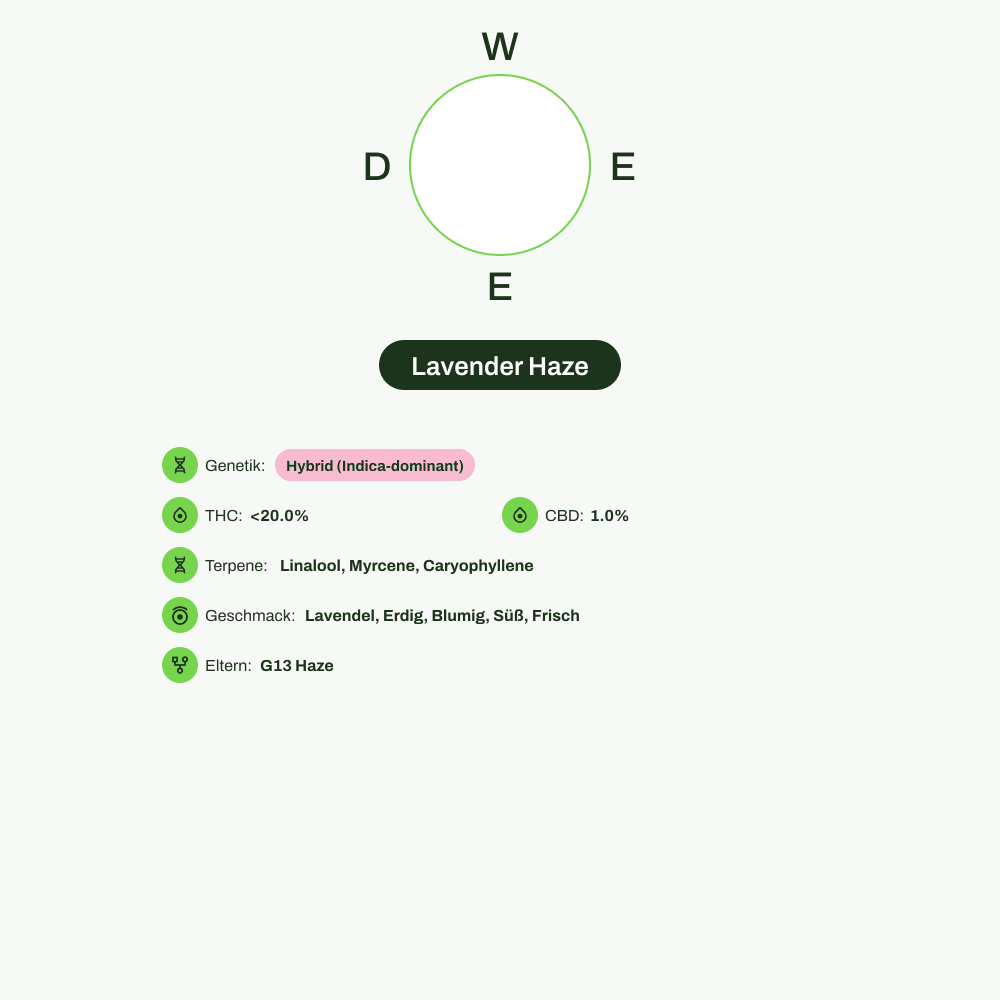 Infografik über THC-Gehalt, CBD-Gehalt, Terpene, Wirkungen, Geschmack von Lavender Haze