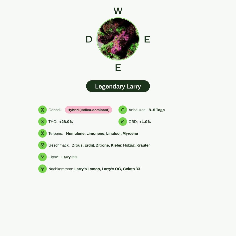 Infografik über THC-Gehalt, CBD-Gehalt, Terpene, Wirkungen, Geschmack von Legendary Larry