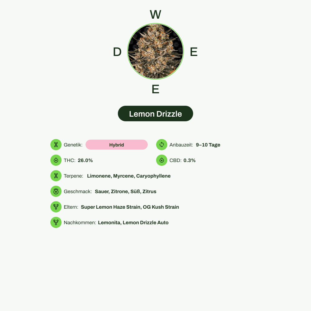 Infografik über THC-Gehalt, CBD-Gehalt, Terpene, Wirkungen, Geschmack von Lemon Drizzle