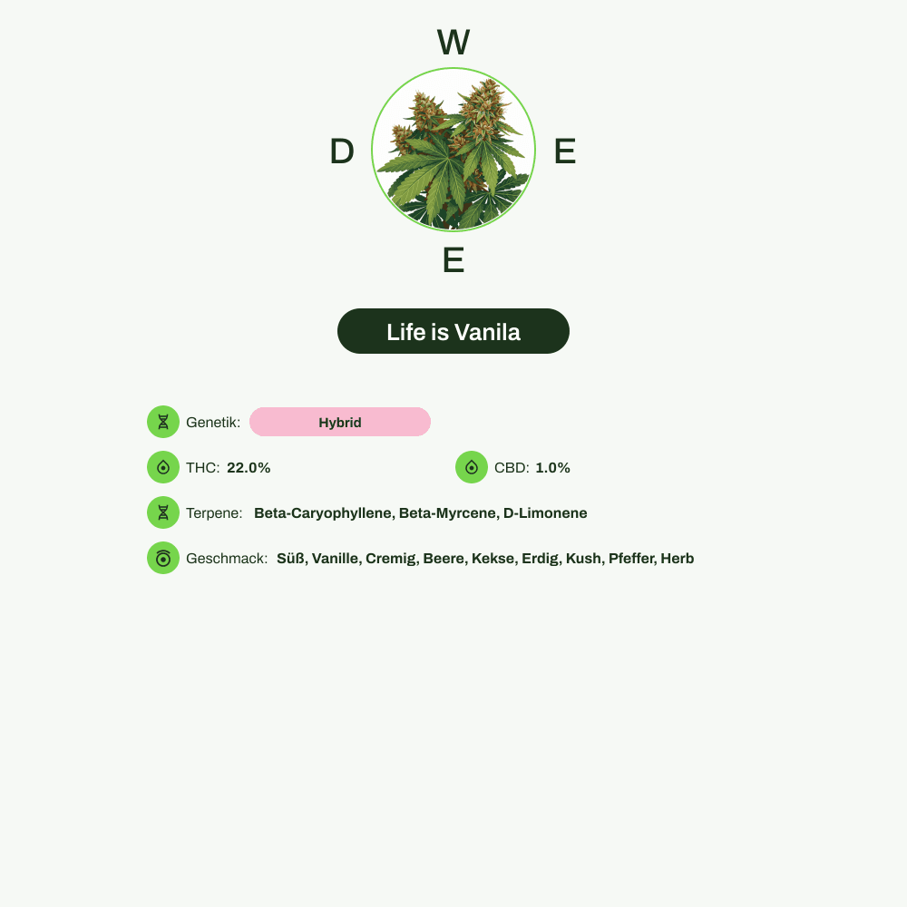 Infografik über THC-Gehalt, CBD-Gehalt, Terpene, Wirkungen, Geschmack von Life is Vanila