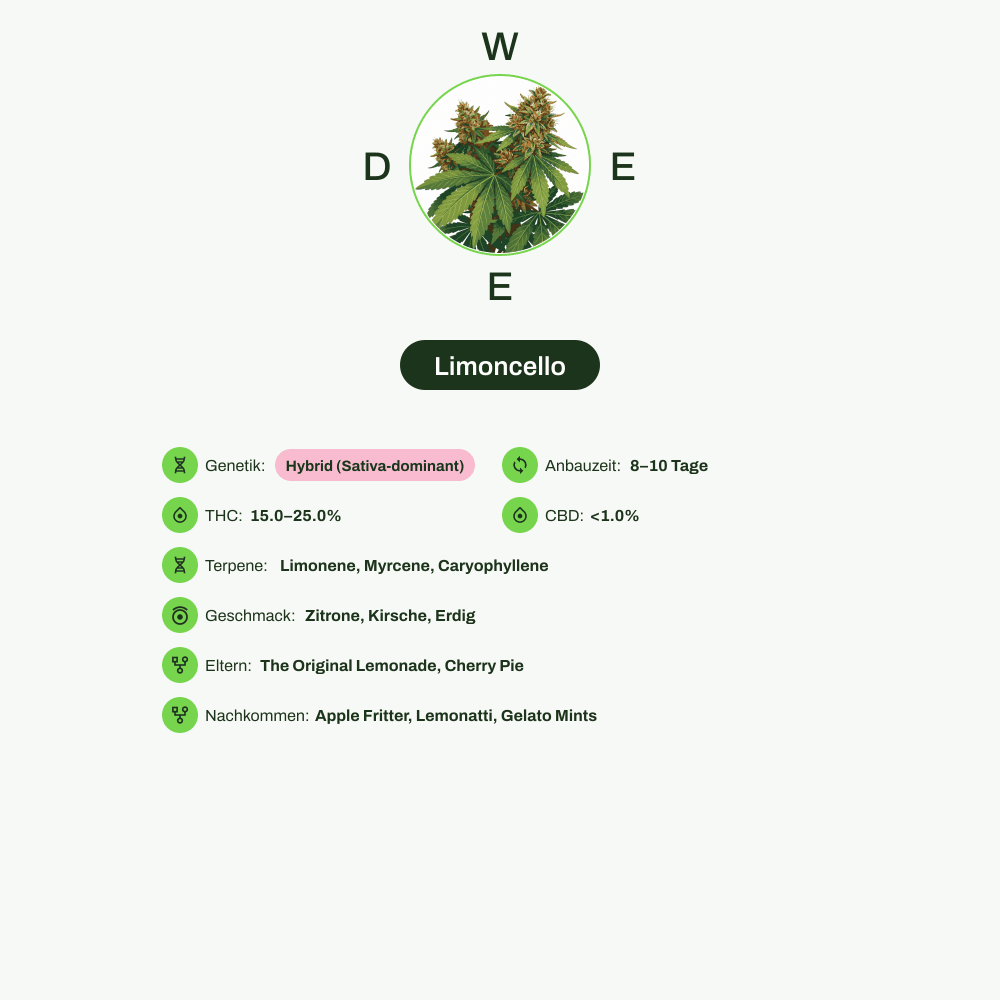 Infografik über THC-Gehalt, CBD-Gehalt, Terpene, Wirkungen, Geschmack von Limoncello