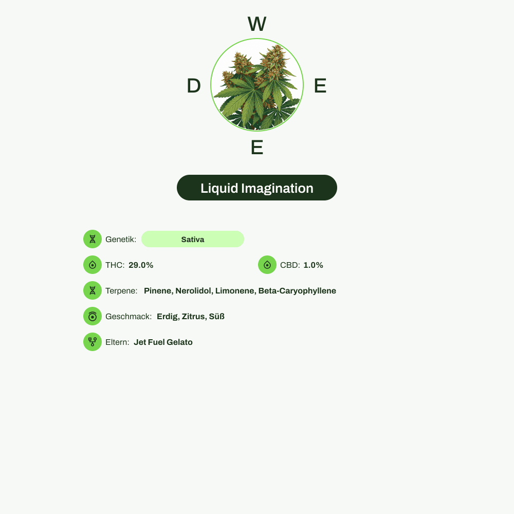 Infografik über THC-Gehalt, CBD-Gehalt, Terpene, Wirkungen, Geschmack von Liquid Imagination