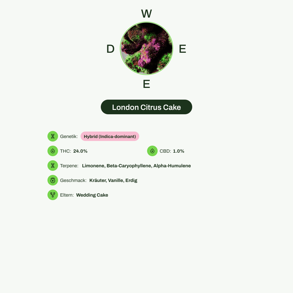 Infografik über THC-Gehalt, CBD-Gehalt, Terpene, Wirkungen, Geschmack von London Citrus Cake