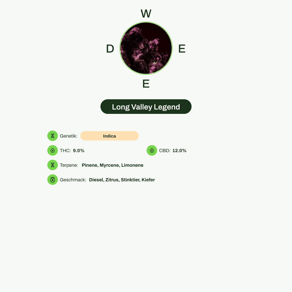 Infografik über THC-Gehalt, CBD-Gehalt, Terpene, Wirkungen, Geschmack von Long Valley Legend