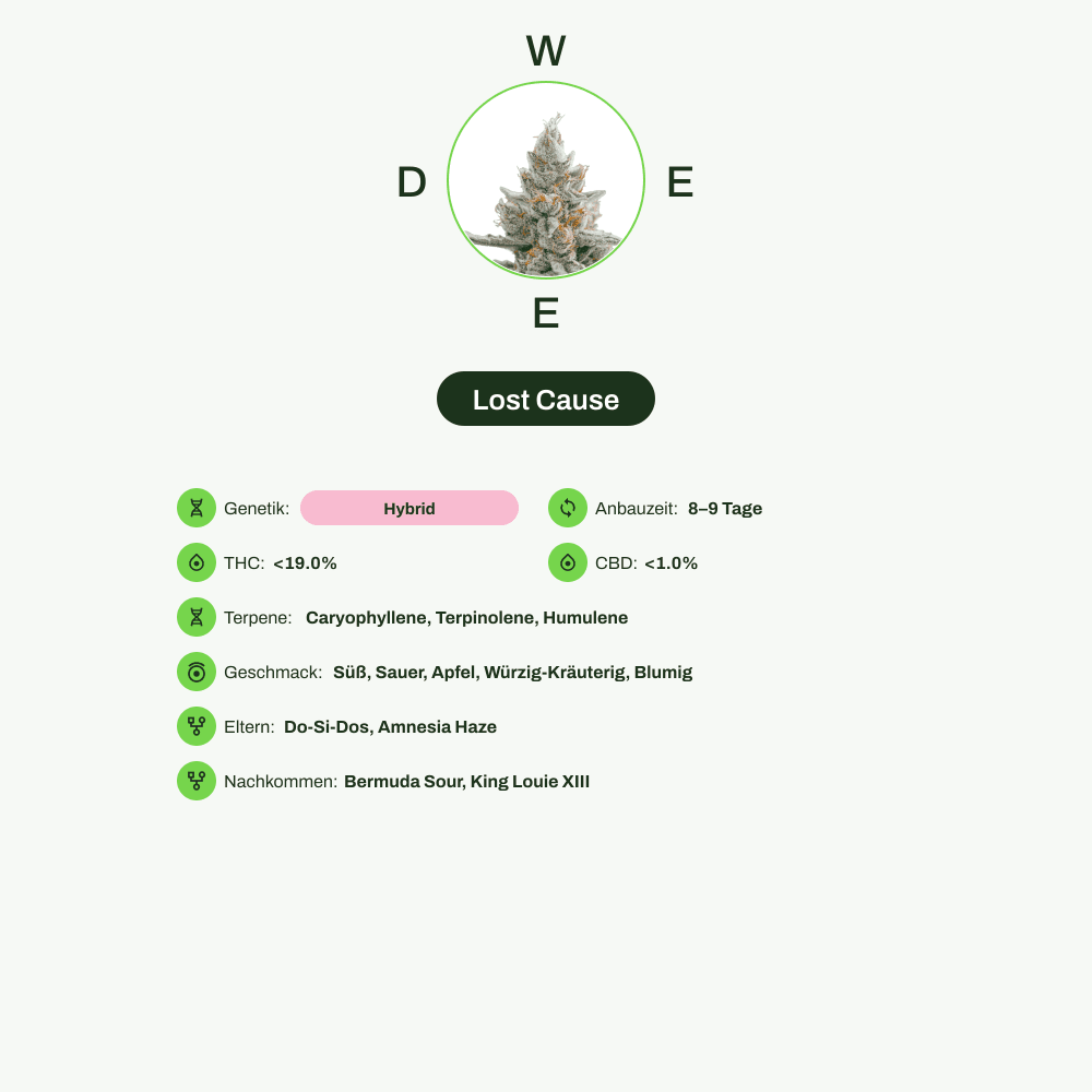 Infografik über THC-Gehalt, CBD-Gehalt, Terpene, Wirkungen, Geschmack von Lost Cause