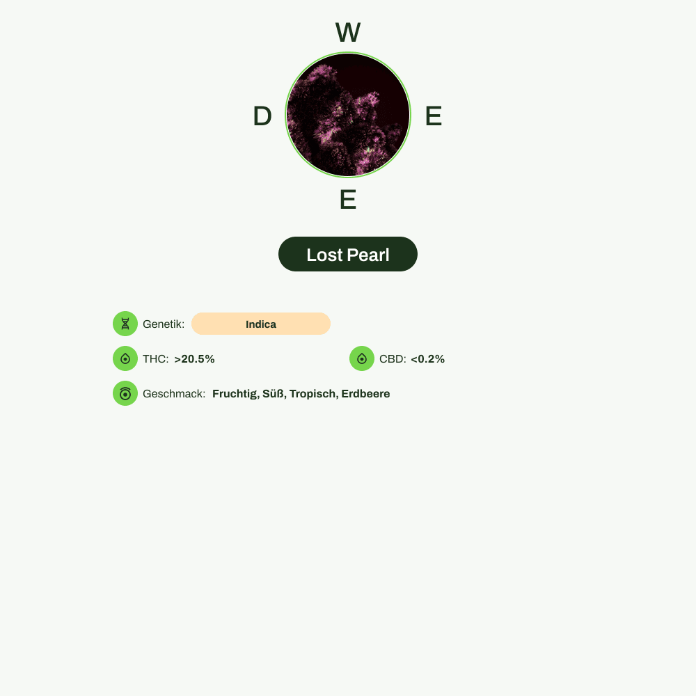 Infografik über THC-Gehalt, CBD-Gehalt, Wirkungen, Geschmack von Lost Pearl