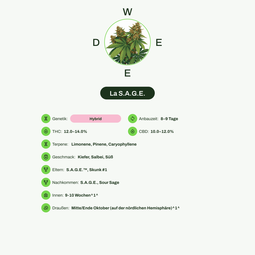 Infografik über THC-Gehalt, CBD-Gehalt, Terpene, Wirkungen, Geschmack von La S.A.G.E.