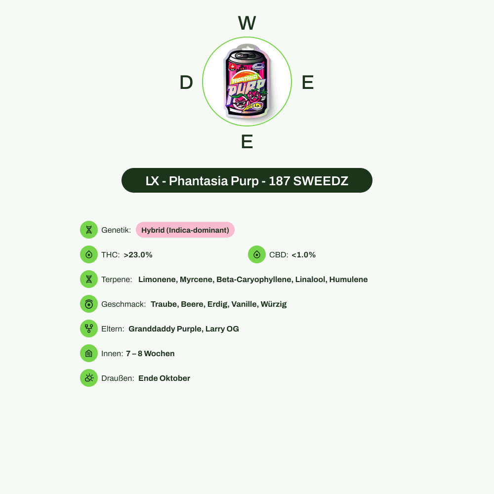 Infografik über THC-Gehalt, CBD-Gehalt, Terpene, Wirkungen, Geschmack von LX - Phantasia Purp - 187 SWEEDZ