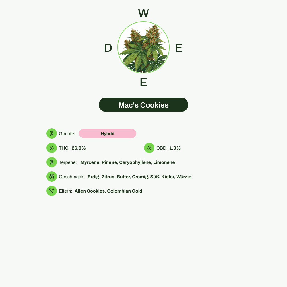 Infografik über THC-Gehalt, CBD-Gehalt, Terpene, Wirkungen, Geschmack von Mac's Cookies