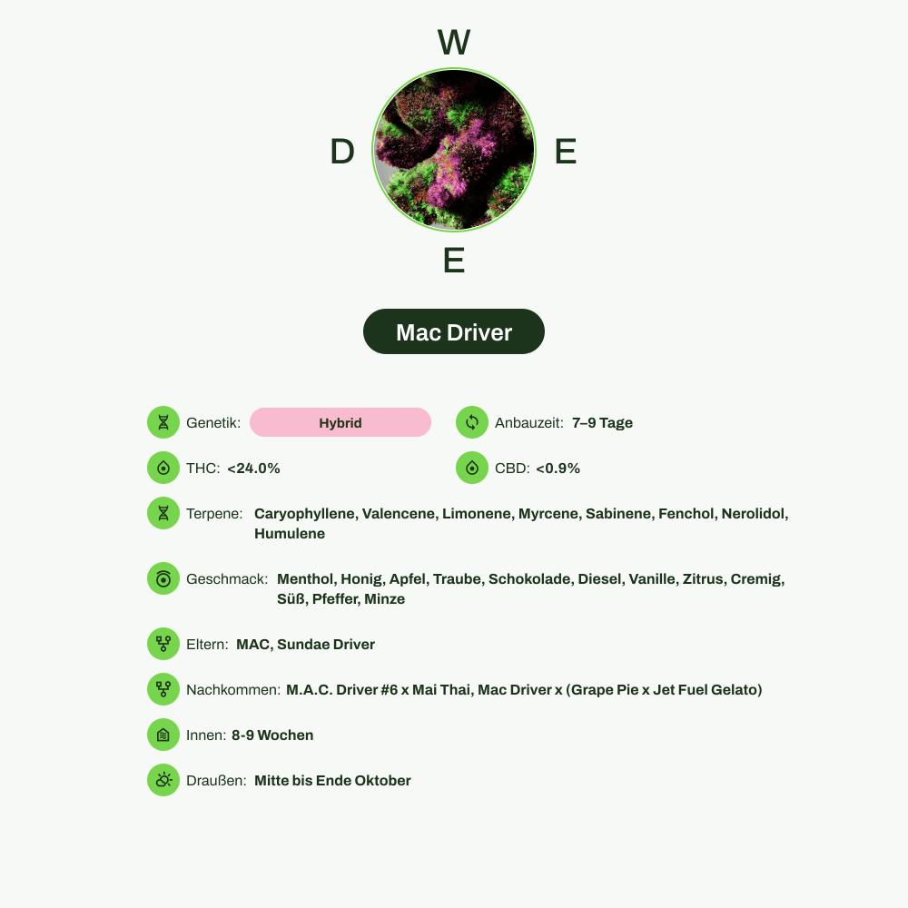 Infografik über THC-Gehalt, CBD-Gehalt, Terpene, Wirkungen, Geschmack von Mac Driver