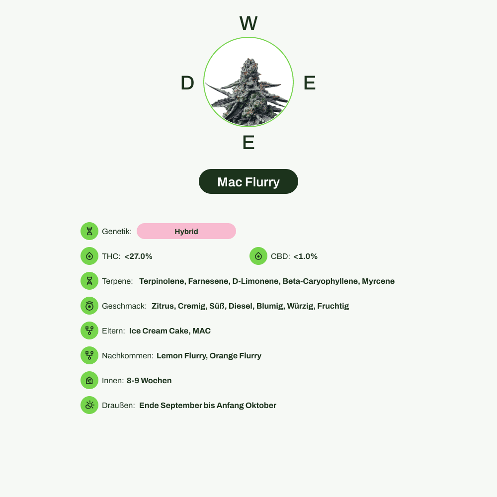 Infografik über THC-Gehalt, CBD-Gehalt, Terpene, Wirkungen, Geschmack von Mac Flurry
