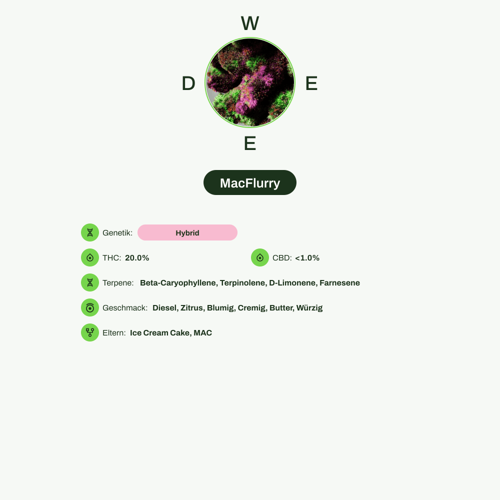 Infografik über THC-Gehalt, CBD-Gehalt, Terpene, Wirkungen, Geschmack von MacFlurry