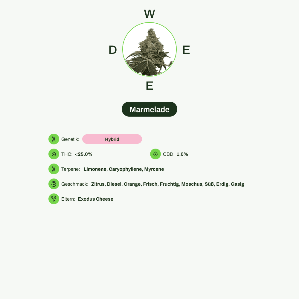 Infografik über THC-Gehalt, CBD-Gehalt, Terpene, Wirkungen, Geschmack von Marmelade
