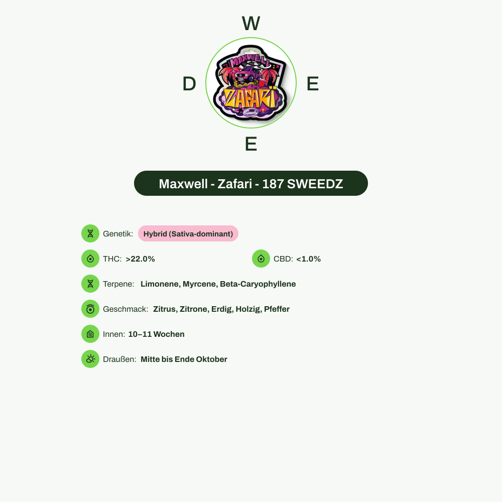 Infografik über THC-Gehalt, CBD-Gehalt, Terpene, Wirkungen, Geschmack von Maxwell - Zafari - 187 SWEEDZ