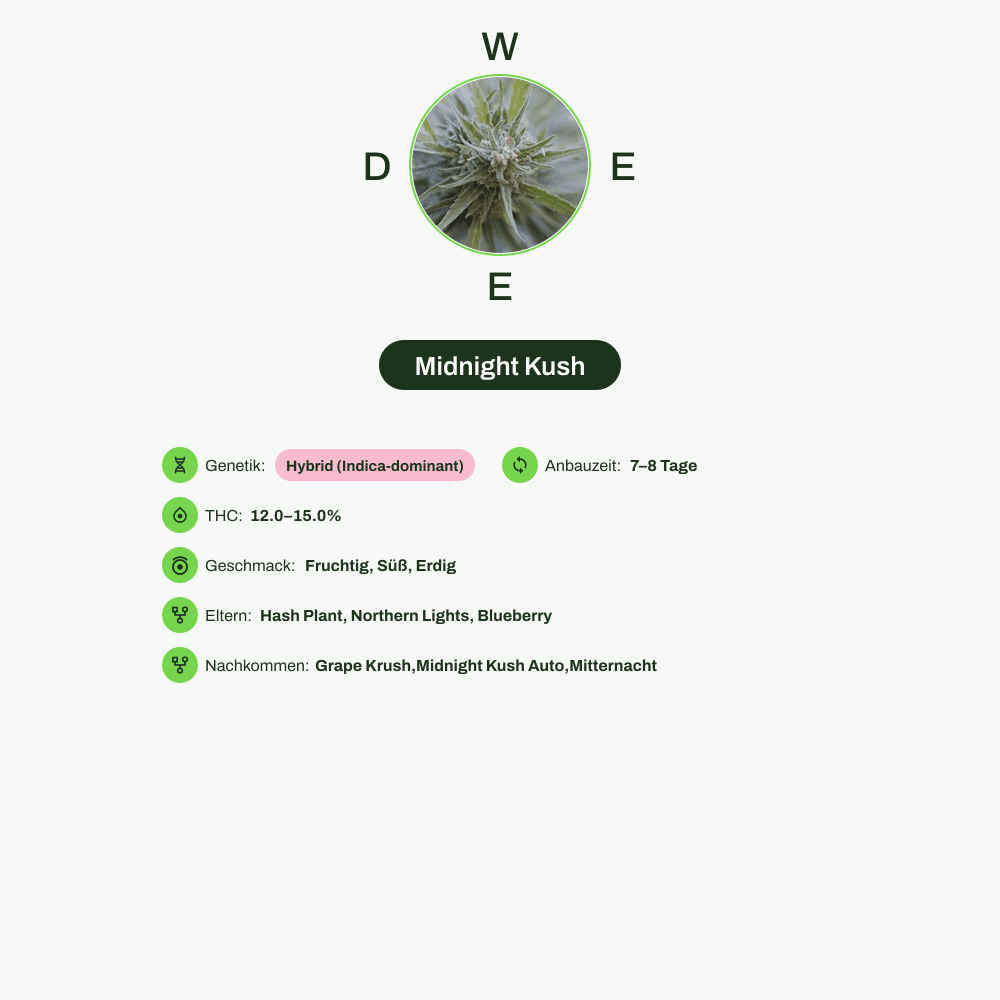 Infografik über THC-Gehalt, CBD-Gehalt, Wirkungen, Geschmack von Midnight Kush