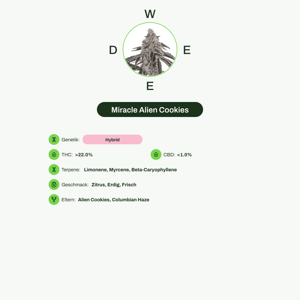 Infografik über THC-Gehalt, CBD-Gehalt, Terpene, Wirkungen, Geschmack von Miracle Alien Cookies