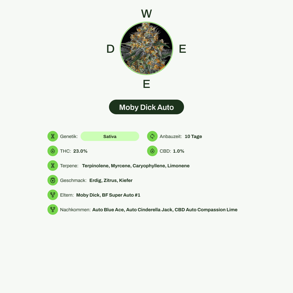 Infografik über THC-Gehalt, CBD-Gehalt, Terpene, Wirkungen, Geschmack von Moby Dick Auto