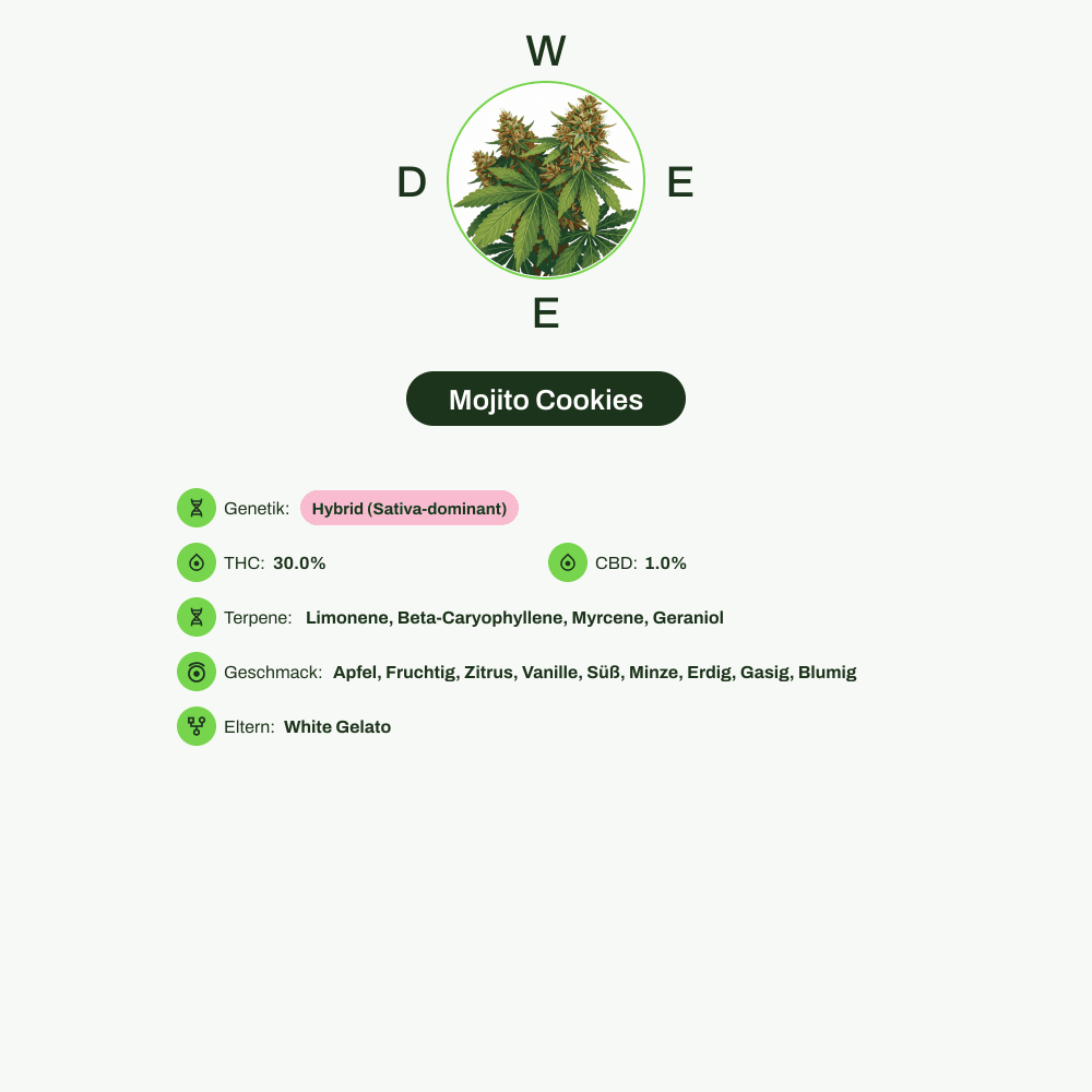 Infografik über THC-Gehalt, CBD-Gehalt, Terpene, Wirkungen, Geschmack von Mojito Cookies