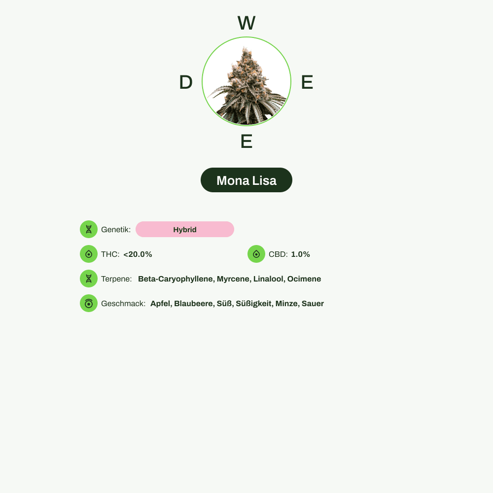 Infografik über THC-Gehalt, CBD-Gehalt, Terpene, Wirkungen, Geschmack von Mona Lisa