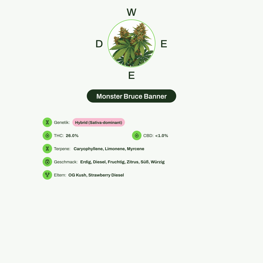 Infografik über THC-Gehalt, CBD-Gehalt, Terpene, Wirkungen, Geschmack von Monster Bruce Banner