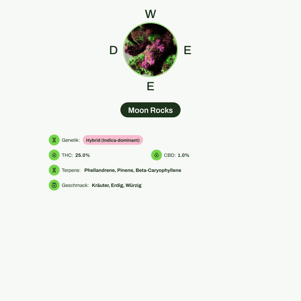Infografik über THC-Gehalt, CBD-Gehalt, Terpene, Wirkungen, Geschmack von Moon Rocks