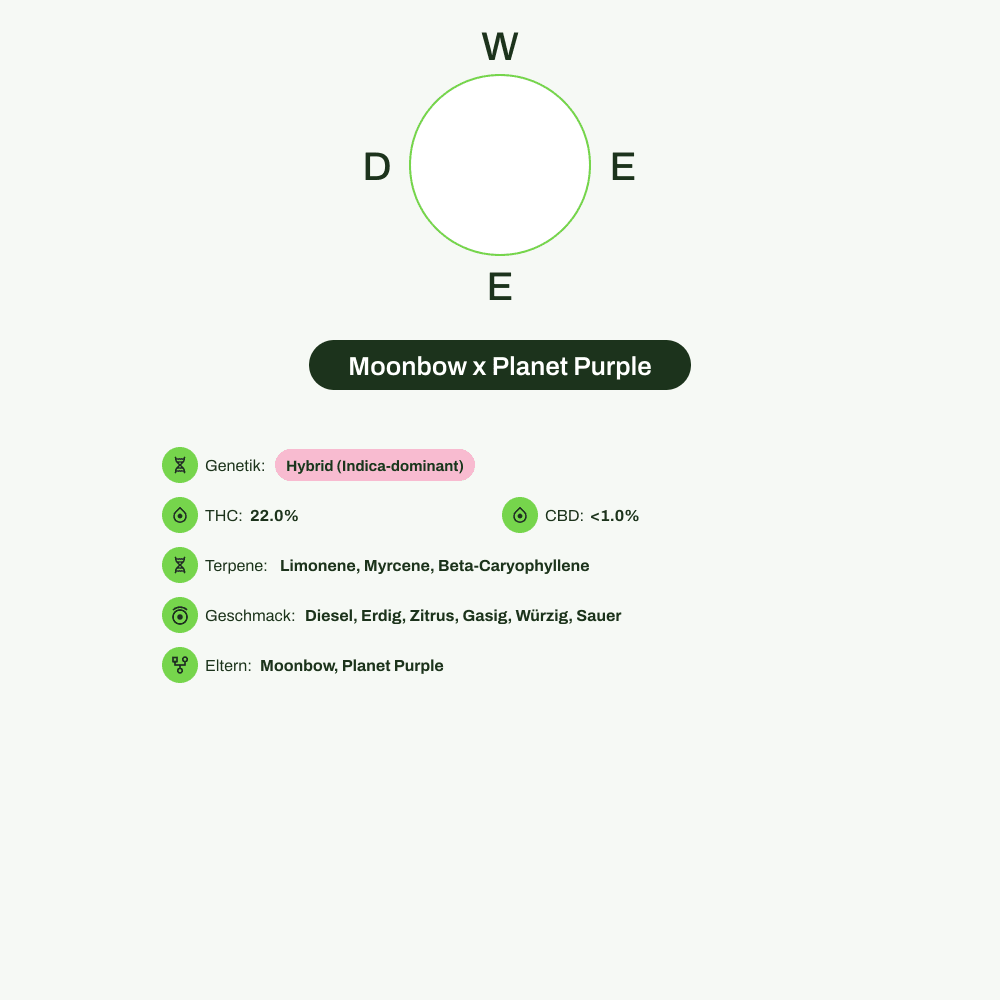 Infografik über THC-Gehalt, CBD-Gehalt, Terpene, Wirkungen, Geschmack von Moonbow x Planet Purple