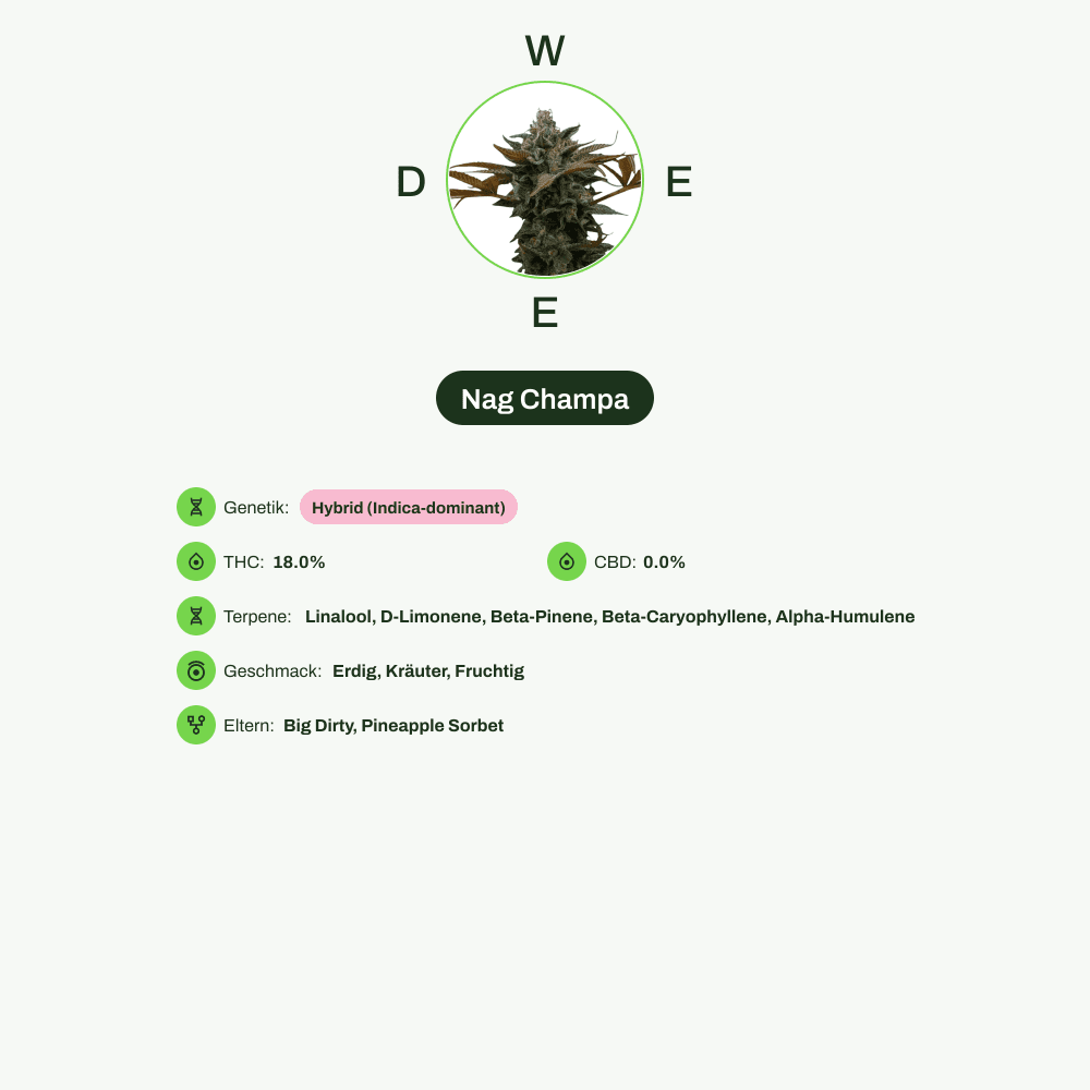 Infografik über THC-Gehalt, CBD-Gehalt, Terpene, Wirkungen, Geschmack von Nag Champa