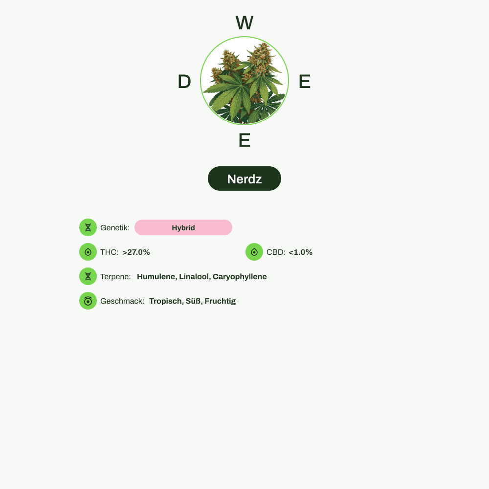 Infografik über THC-Gehalt, CBD-Gehalt, Terpene, Wirkungen, Geschmack von Nerdz