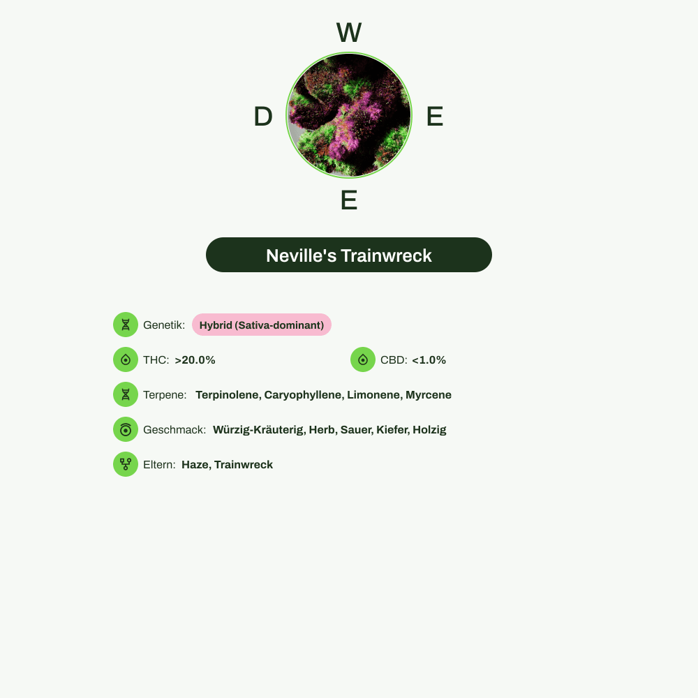 Infografik über THC-Gehalt, CBD-Gehalt, Terpene, Wirkungen, Geschmack von Neville's Trainwreck
