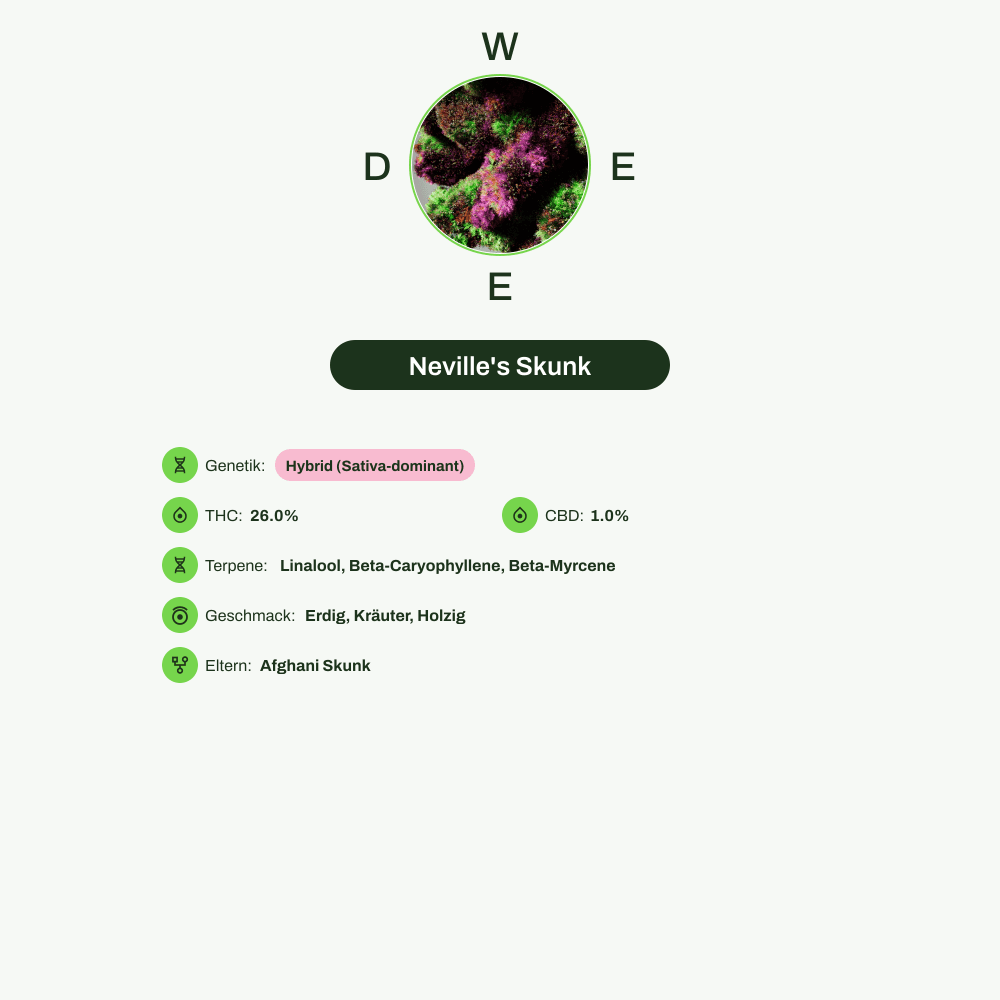 Infografik über THC-Gehalt, CBD-Gehalt, Terpene, Wirkungen, Geschmack von Neville's Skunk