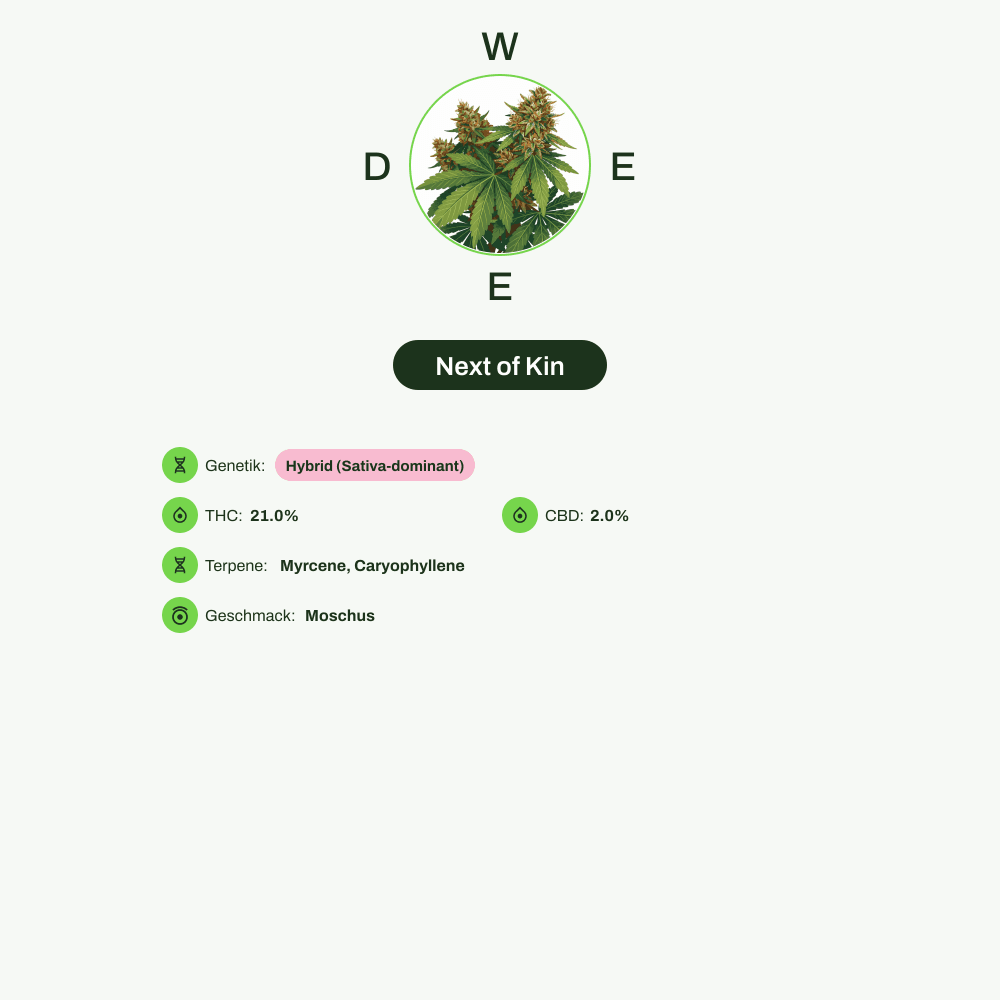 Infografik über THC-Gehalt, CBD-Gehalt, Terpene, Wirkungen, Geschmack von Next of Kin