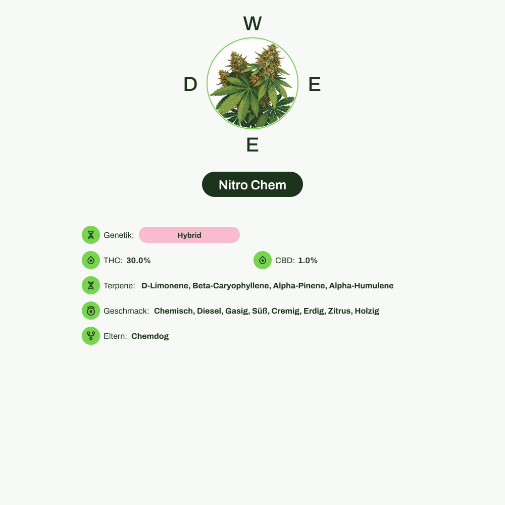 Infografik über THC-Gehalt, CBD-Gehalt, Terpene, Wirkungen, Geschmack von Nitro Chem