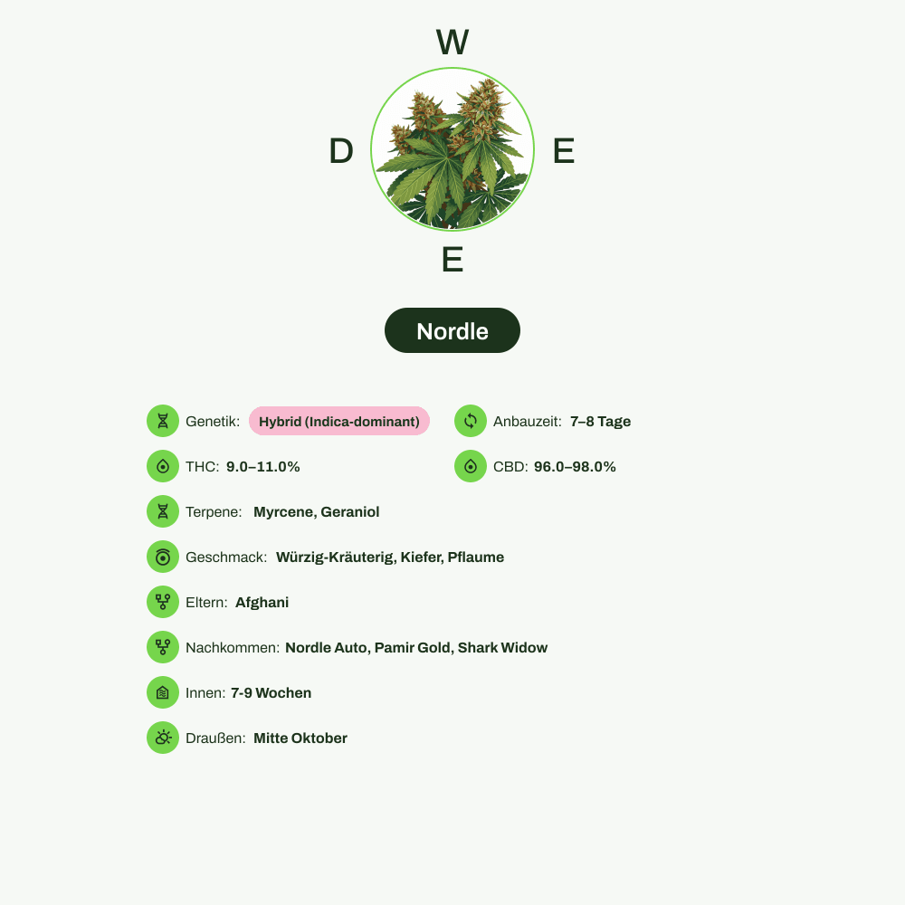 Infografik über THC-Gehalt, CBD-Gehalt, Terpene, Wirkungen, Geschmack von Nordle