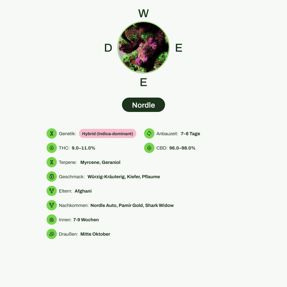 Infografik über THC-Gehalt, CBD-Gehalt, Terpene, Wirkungen, Geschmack von Nordle