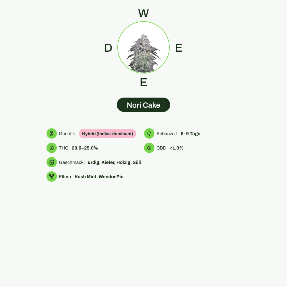 Infografik über THC-Gehalt, CBD-Gehalt, Wirkungen, Geschmack von Nori Cake