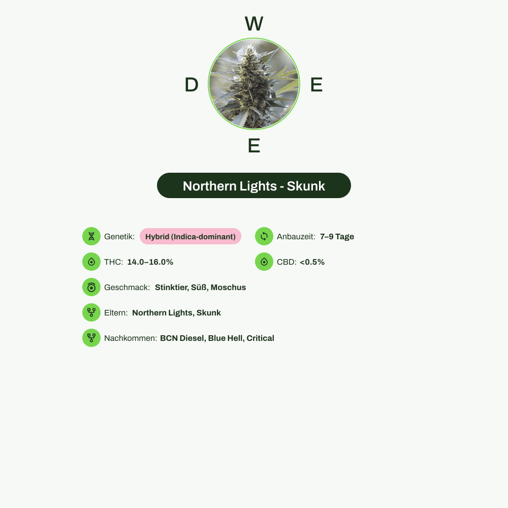 Infografik über THC-Gehalt, CBD-Gehalt, Wirkungen, Geschmack von Northern Lights - Skunk