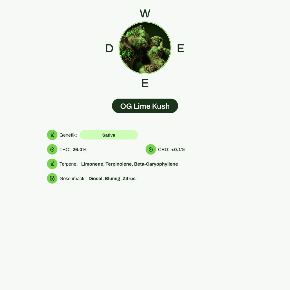 Infografik über THC-Gehalt, CBD-Gehalt, Terpene, Wirkungen, Geschmack von OG Lime Kush