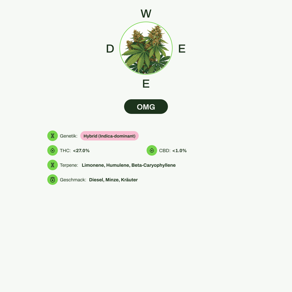 Infografik über THC-Gehalt, CBD-Gehalt, Terpene, Wirkungen, Geschmack von OMG