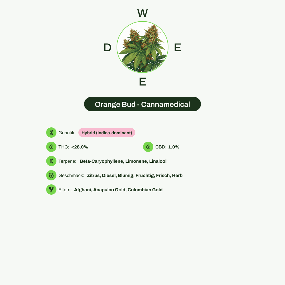 Infografik über THC-Gehalt, CBD-Gehalt, Terpene, Wirkungen, Geschmack von Orange Bud - Cannamedical