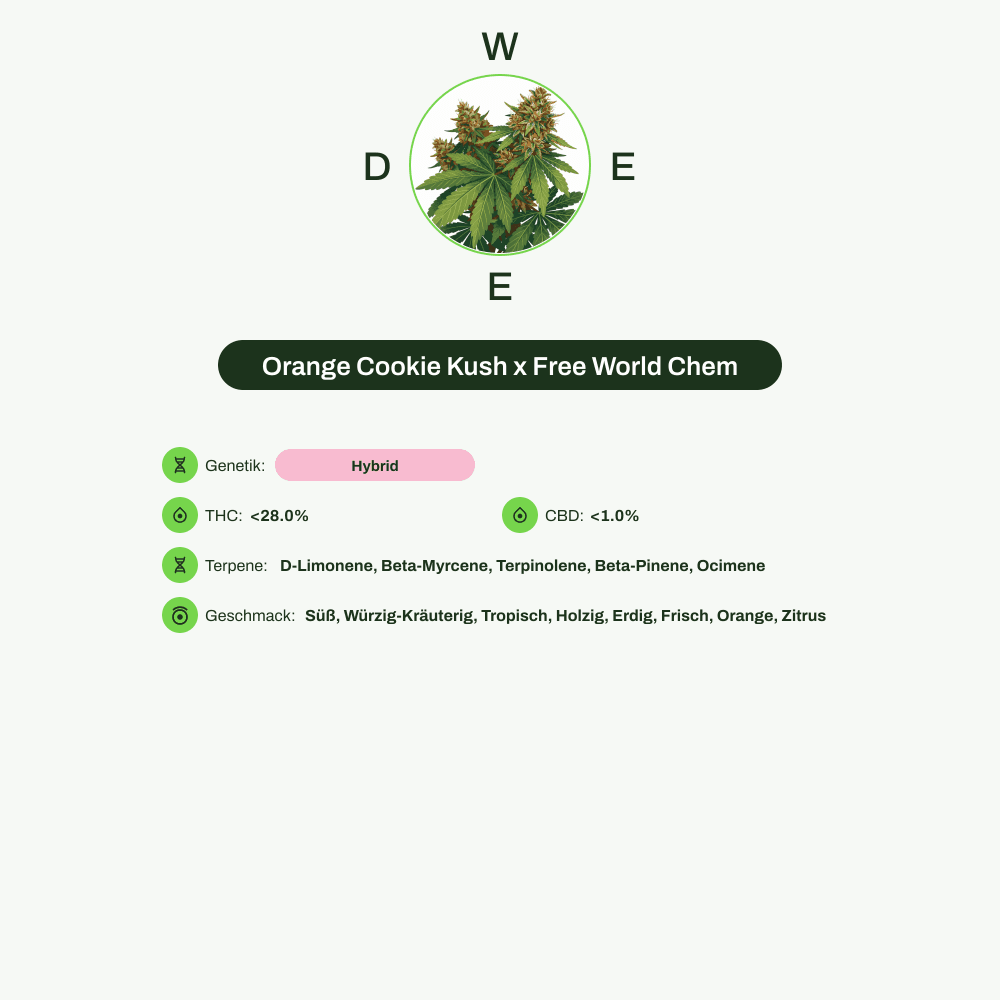 Infografik über THC-Gehalt, CBD-Gehalt, Terpene, Wirkungen, Geschmack von Orange Cookie Kush x Free World Chem