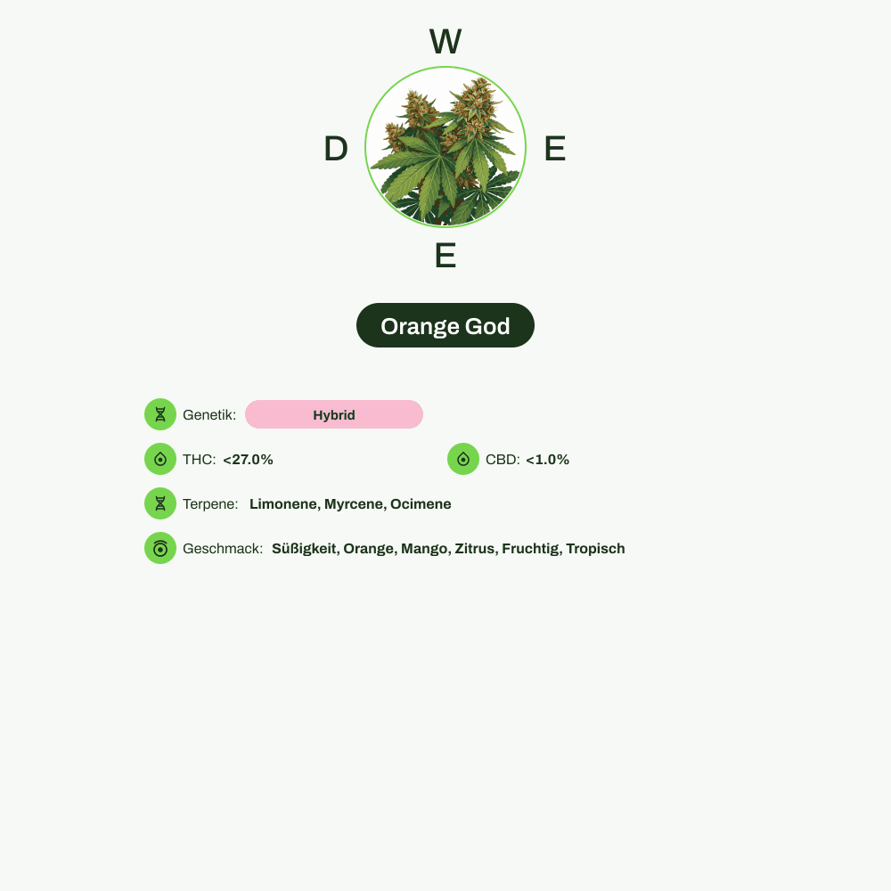 Infografik über THC-Gehalt, CBD-Gehalt, Terpene, Geschmack von Orange God