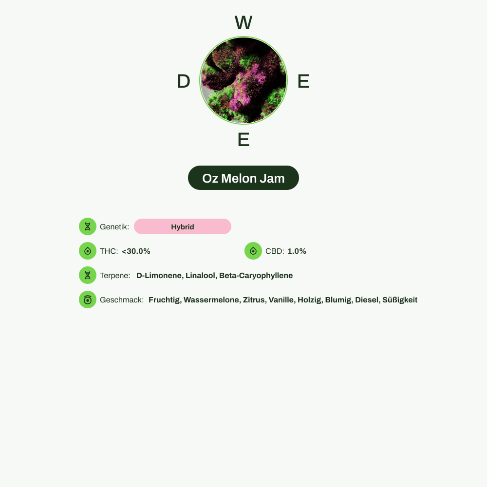 Infografik über THC-Gehalt, CBD-Gehalt, Terpene, Wirkungen, Geschmack von Oz Melon Jam